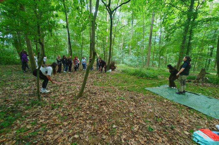 Waldworkshop: Raus aus dem Klassenraum, rein in den Lebensraum Wald