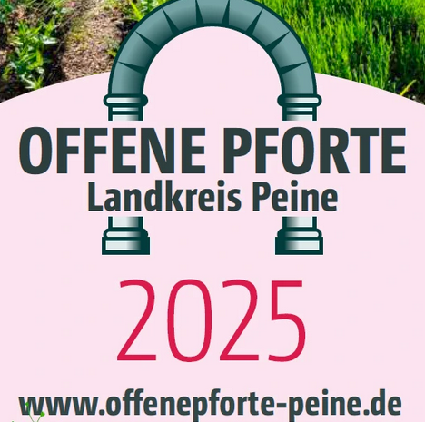 Offener Schulwald 2025