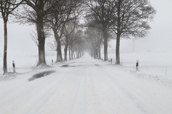 Unterrichtsausfall – 12.01.2026