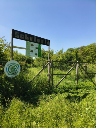 Tag des offenen Schulwaldes